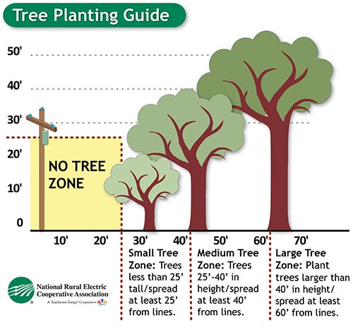 Tree planting